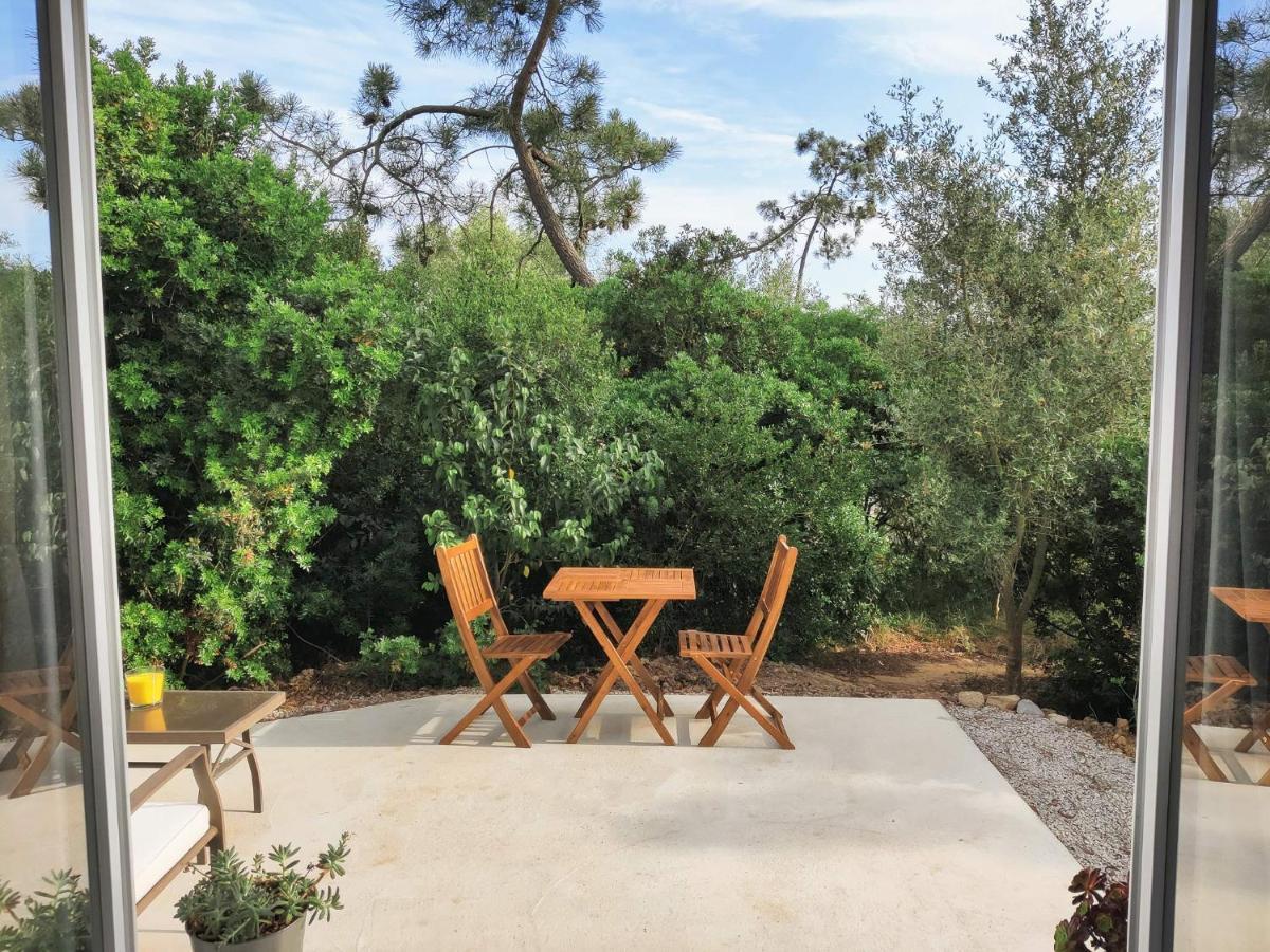 مبيت وإفطار سيسيمبرا Quinta Do Alento المظهر الخارجي الصورة