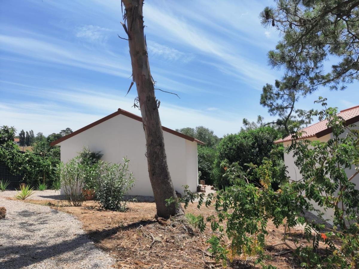 مبيت وإفطار سيسيمبرا Quinta Do Alento المظهر الخارجي الصورة