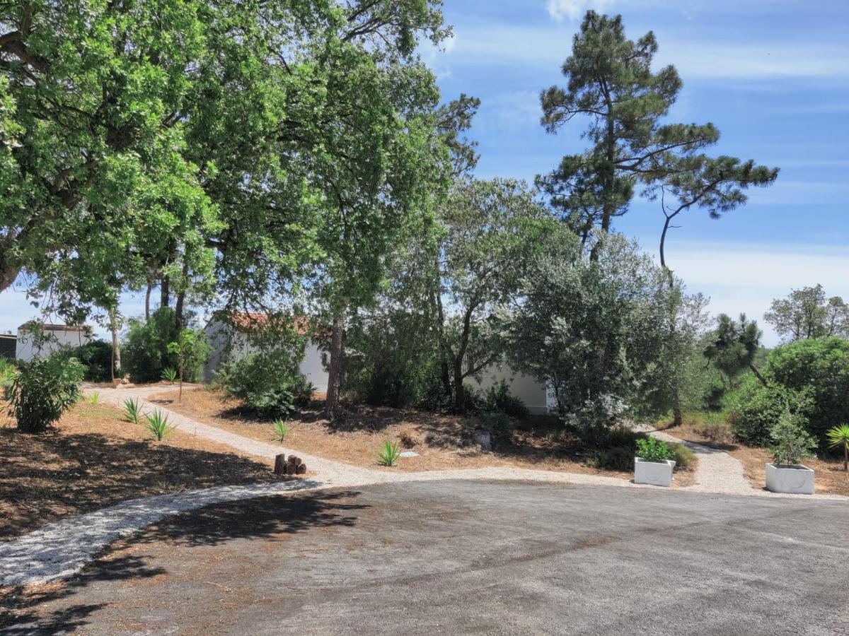 مبيت وإفطار سيسيمبرا Quinta Do Alento المظهر الخارجي الصورة