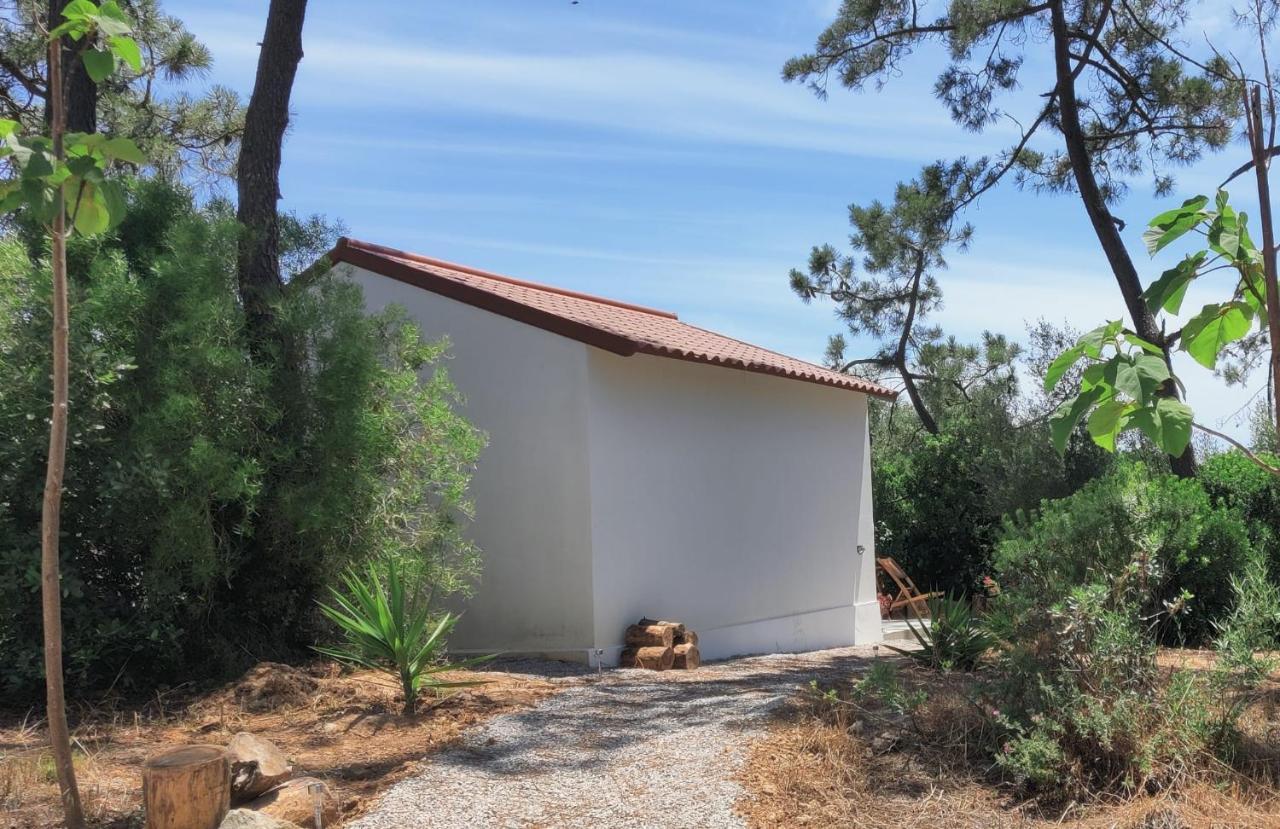 مبيت وإفطار سيسيمبرا Quinta Do Alento المظهر الخارجي الصورة