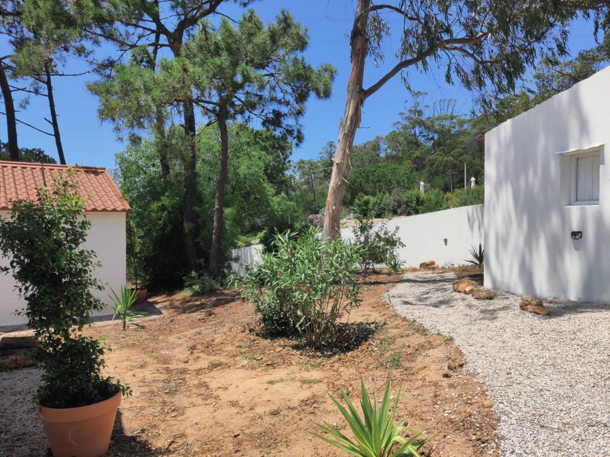 مبيت وإفطار سيسيمبرا Quinta Do Alento المظهر الخارجي الصورة